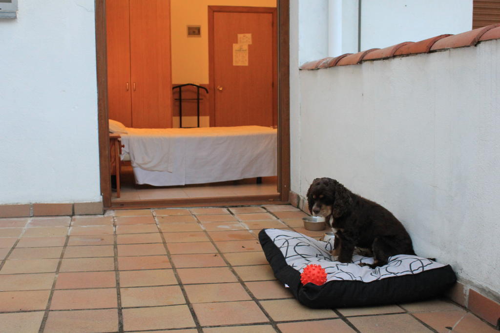 Hostal Sant Bernat Olot Buitenkant foto